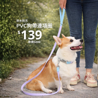 Aqua PVC Waterproof Martingale Collar and Leash Set