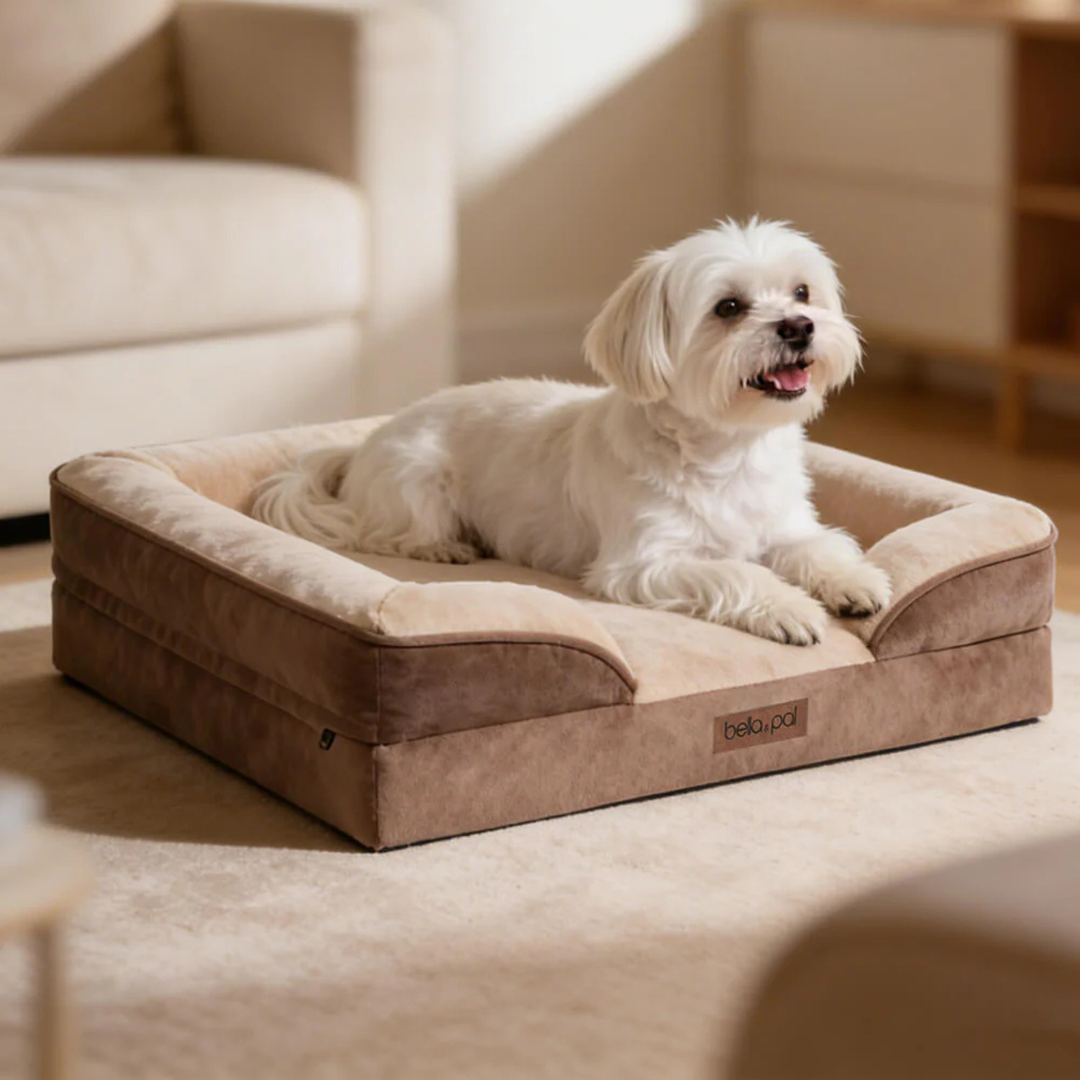 Orthopedic Dog Bed