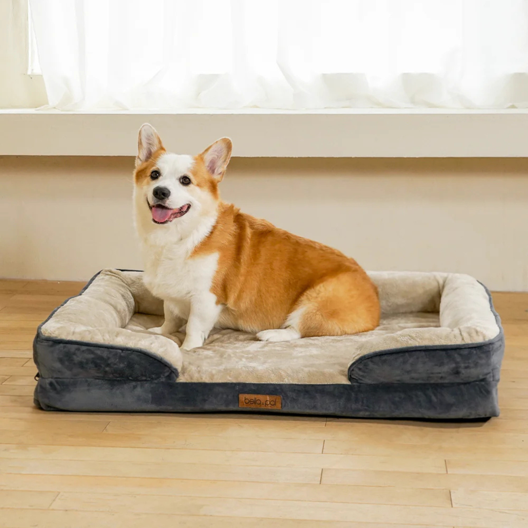 Orthopedic Dog Bed
