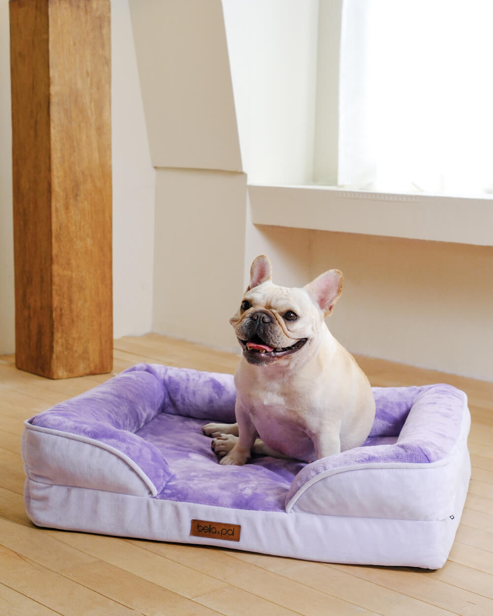 Orthopedic Dog Bed