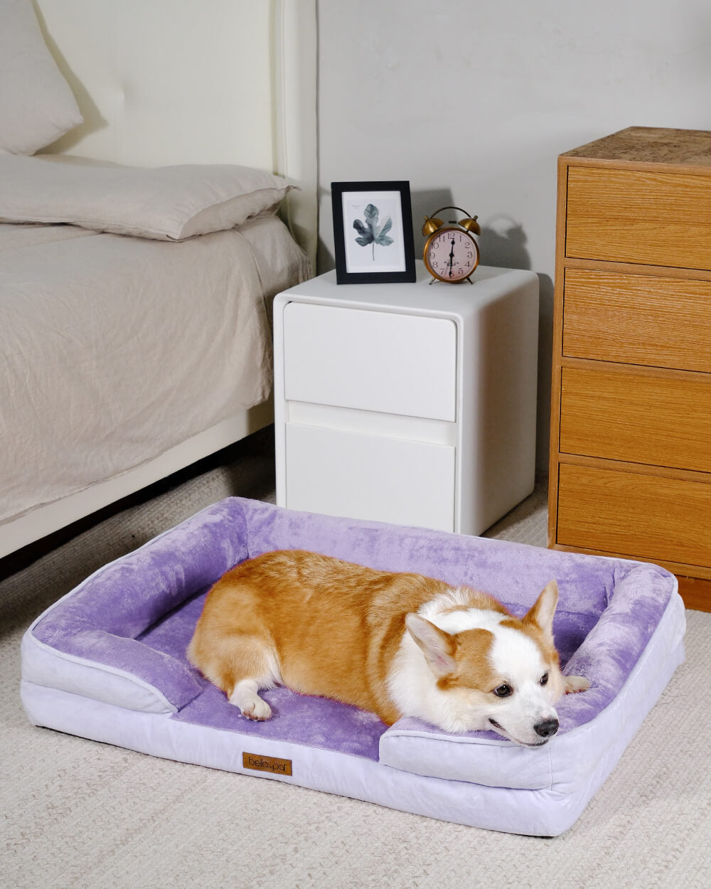 Orthopedic Dog Bed