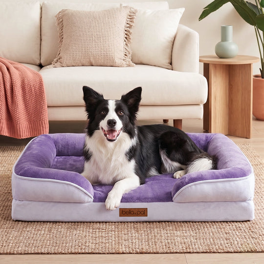 Memory foam orthopedic dog bed cover lavender detail