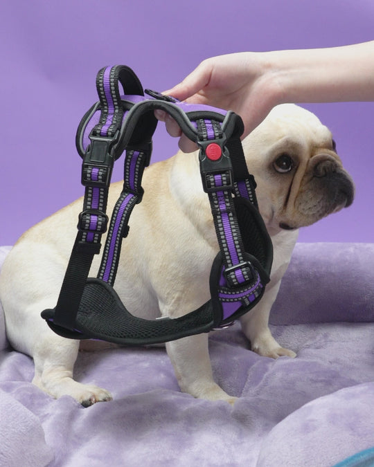 Smart Pro Easy-On No Pull Dog Harness