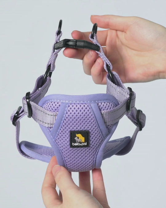 OxyMesh Flexi Step-in Harness and Leash Set