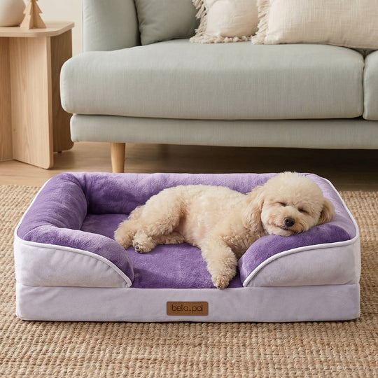 Removable cover orthopedic dog bed lavender lifestyle