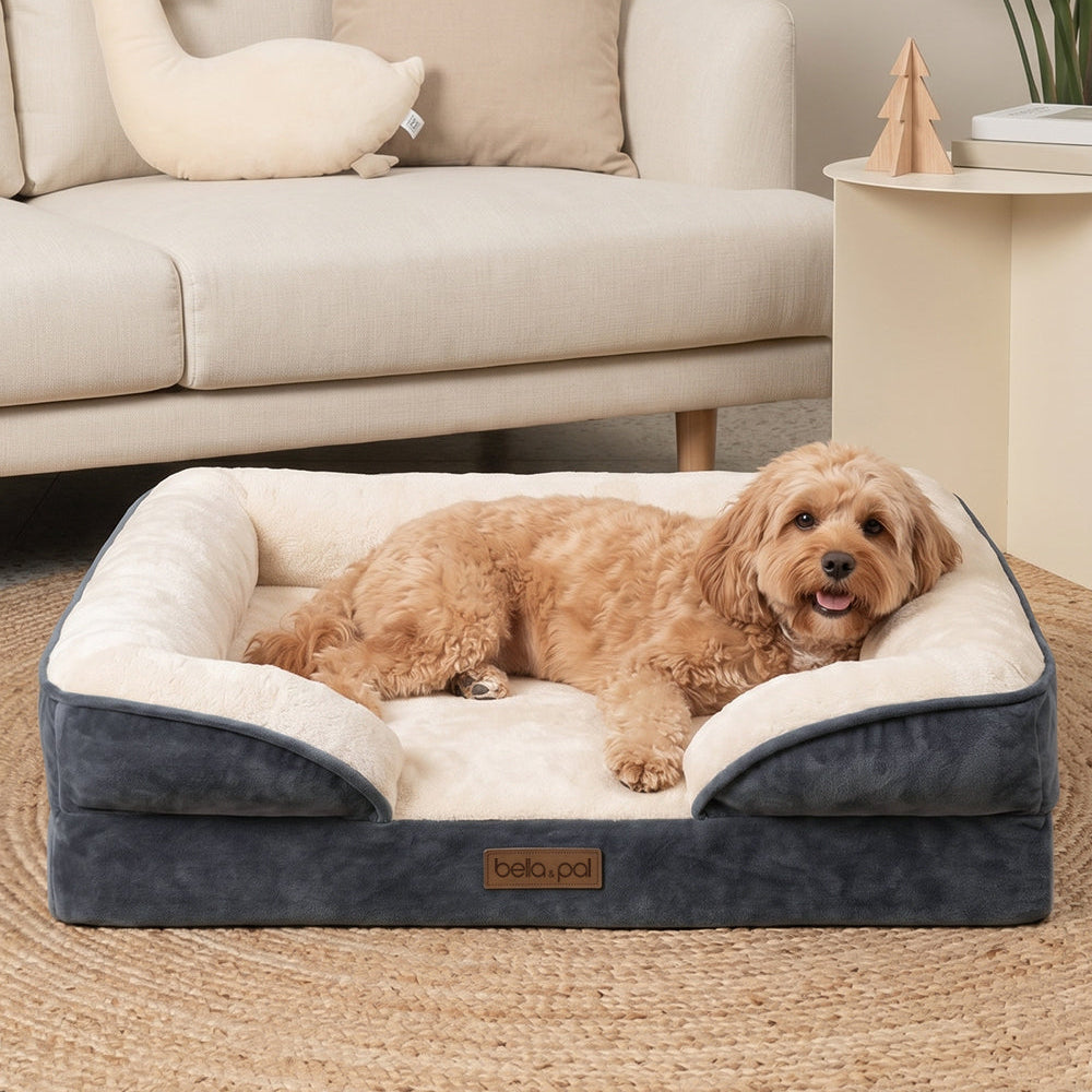 Removable cover orthopedic dog bed grey for small dogs