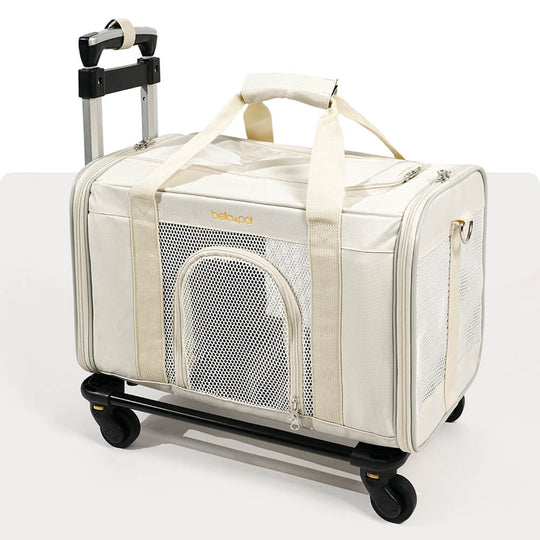 Cloud Dancer rolling pet carrier with detachable trolley