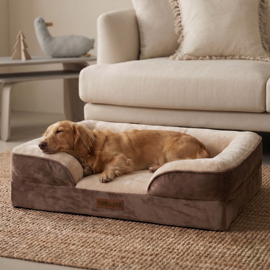 Supportive memory foam dog bed cover - Soft Mocha detail