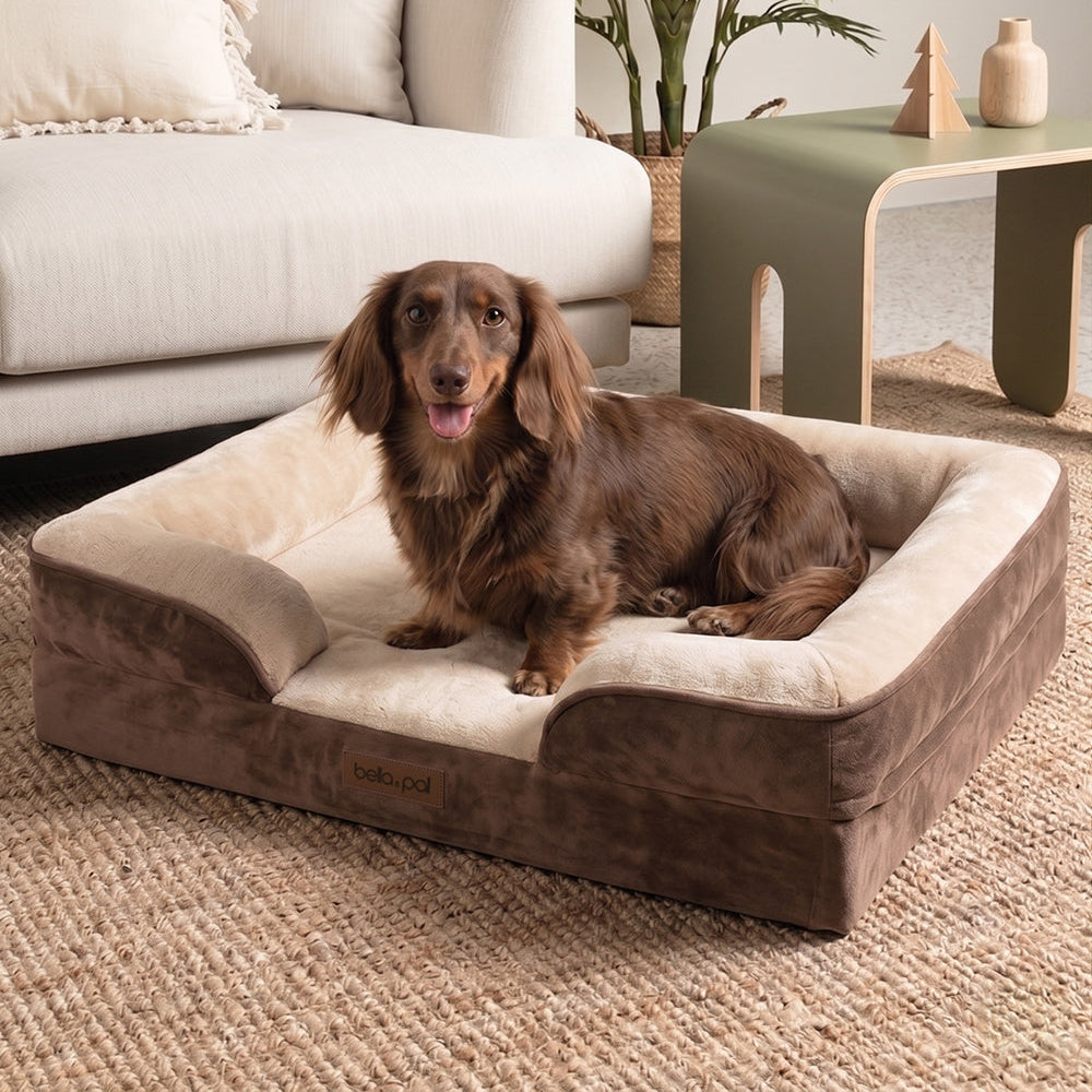Washable Orthopedic Dog Bed Cover - Soft Mocha lifestyle