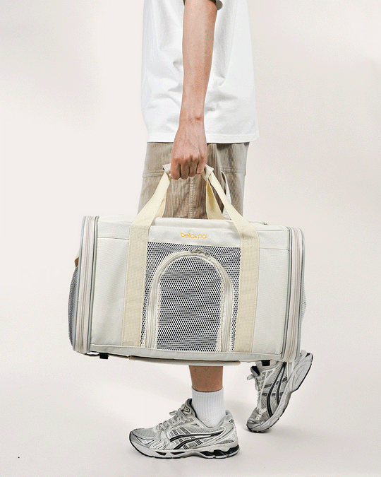 Wheeled Cloud Dancer pet carrier for cats and small dogs